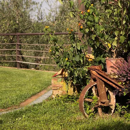 Il Frutteto Lari